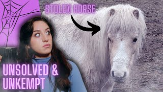 Every Horse Owner's Nightmare Before Christmas? | Unsolved & Unkempt