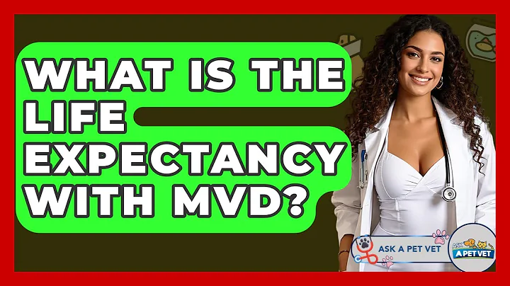 What Is The Life Expectancy With MVD? - Ask A Pet Vet