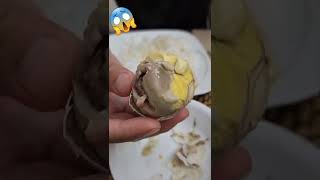 Download Lagu WILL YOU DARE TO EAT A FERTILIZED CHICKEN EGG???!!! | BALUT CHALLENGE!!! MP3 Download Lagu WILL YOU DARE TO EAT A FERTILIZED CHICKEN EGG???!!! | BALUT CHALLENGE!!! MP3