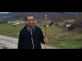 Димитър Георгиев и неговото ходене по мъките, за да регистрира животновъден обект по член 137 ...