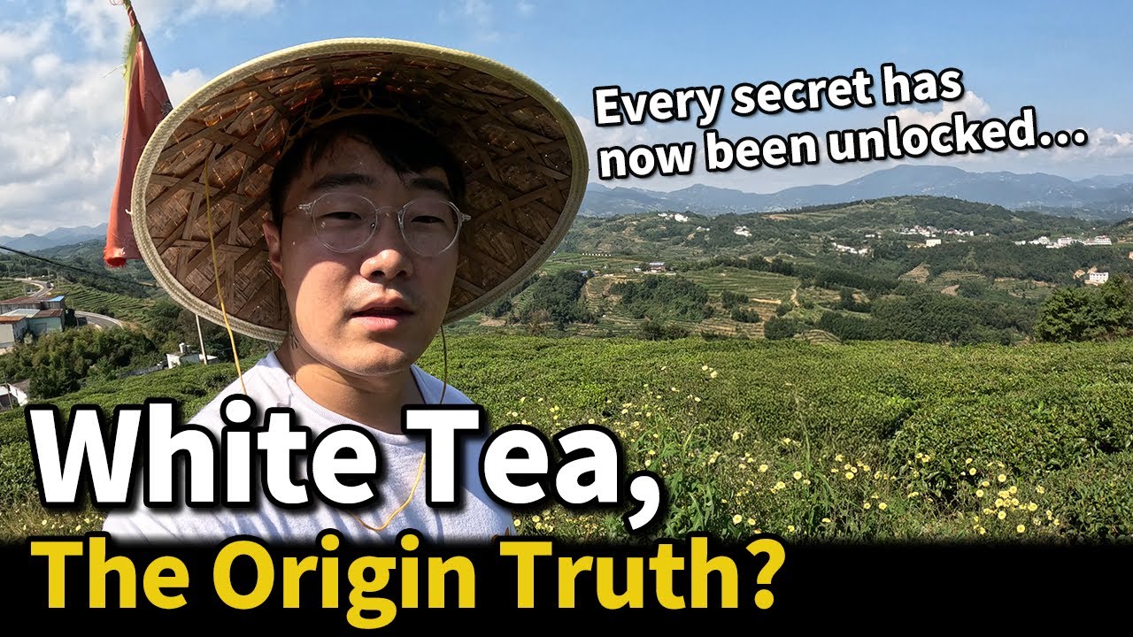 🤍Белый чай: истинное лицо происхождения (Фуцзянь Фудин, серебряные иглы, Мудань, Гунмэй)