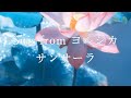 Suis from ヨルシカ-サンサーラ(Sansaara)【中日字幕】