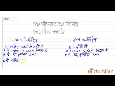 वीडियो: किस पोलीमरेज़ को टेम्पलेट की आवश्यकता नहीं है?