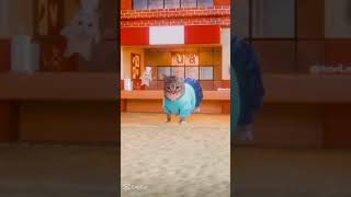 U I A E Steve Has A Chicken Yeah