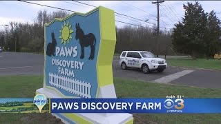 Dream Drives: Spring Babies At Paws Discovery Farm