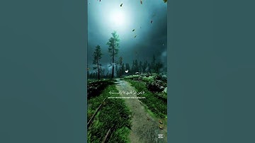 { قُلۡ أَعُوذُ بِرَبِّ ٱلۡفَلَقِ مِن شَرِّ مَا خَلَقَ وَمِن شَرِّ غَاسِقٍ إِذَا وَقَبَ }  سورة الفلق