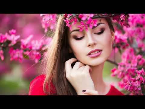 Одна калина за вікном одна родина за столом