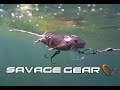 Savage Gear 3D Rad video