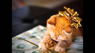 Swing Life Away-Rise Against-Cover By Stefonz-Happy Birthday