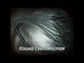 Кошка Семихвостая БДСМ