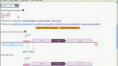 Introduction to BioCyc Part 4A