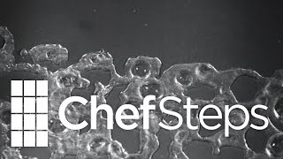 Food Science • Liquid Nitrogen Under Vacuum • ChefSteps Net Worth