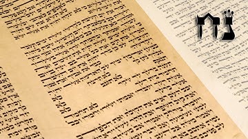 Parashat Noah - Dealing with the chaos in our life - Rabbi Alon Anava