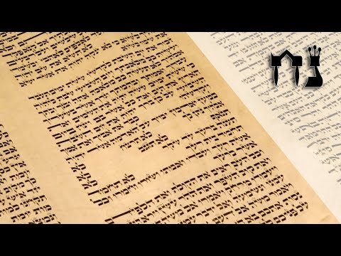 Parashat Noah - Dealing with the chaos in our life - Rabbi Alon Anava