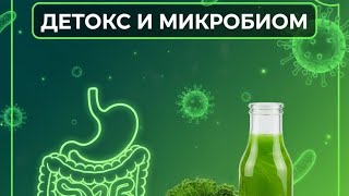 Детокс и микробиом: как укрепить иммунитет и улучшить пищеварение