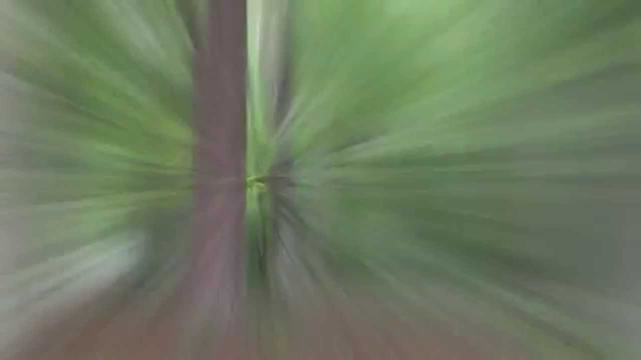 The Twiglight Zone. It's way better than the Twilight Zone.