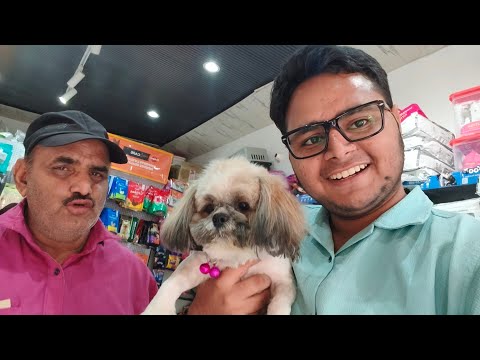 Dollar का नया लुक देख कर हंस पड़ोगे! 🤣
