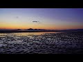 사랑 투 라이 [4K]