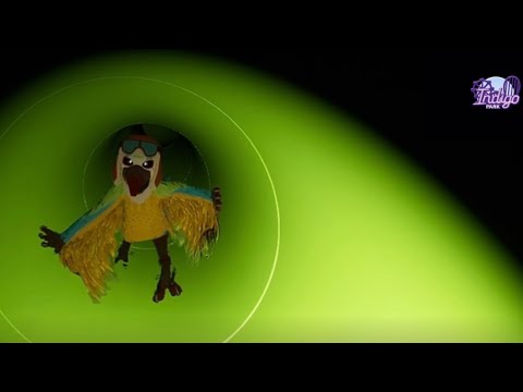 Mollie Macaw Chase Indigo Park