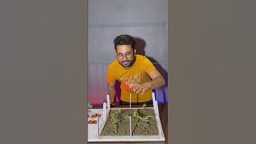 Crop protection system #viral #science #trending #project #technology #diy #farmer