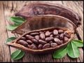 «Коричневое золото»: полезные свойства какао для организма человека