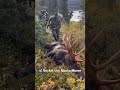 GIANT 70” BULL MOOSE DOWN #hunting #elkhunting  #moosehunting #alaskahunting