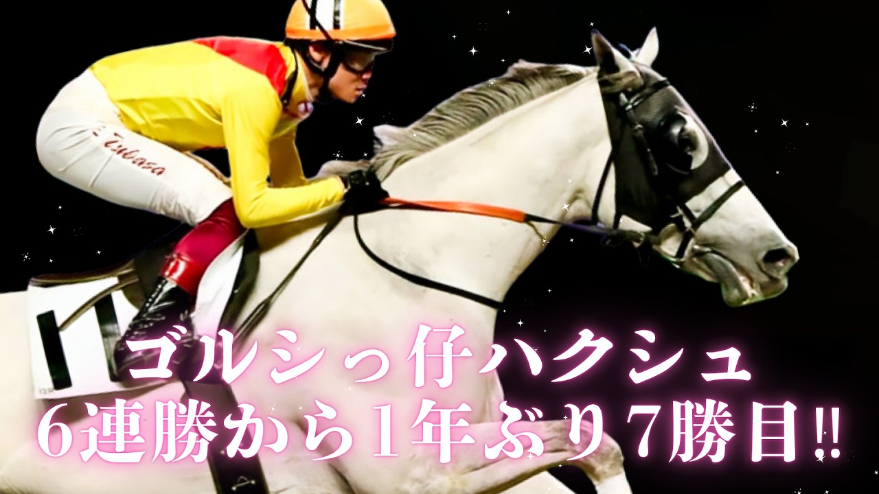 Seventh win achieved! Gold Ship's offspring Hakushu conquers the