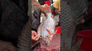 🏪 Tilapia Fish Cutting At The Local Market! 😱🔥 Amazon Fish Cutting skills #shorts #fishcutting