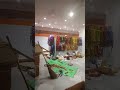 dog showroom light electric work