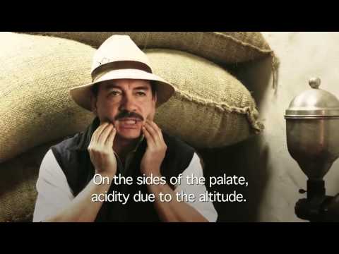 ‘The spirit of Veracruz’: The history of Kahlúa coffee liqueur