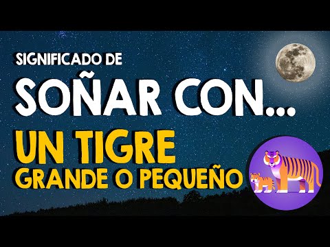 ¿Qué significa soñar con un tigre grande o pequeño? 🐯 Soñar con tigres adultos o cachorros 🐯