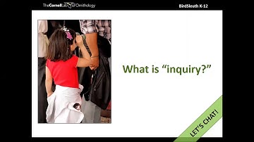 Observations Lead to Questions