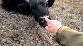 ВІДЕО ЯКЕ Я НЕ ЗБИРАВСЯ ЗАВАНТАЖУВАТИ