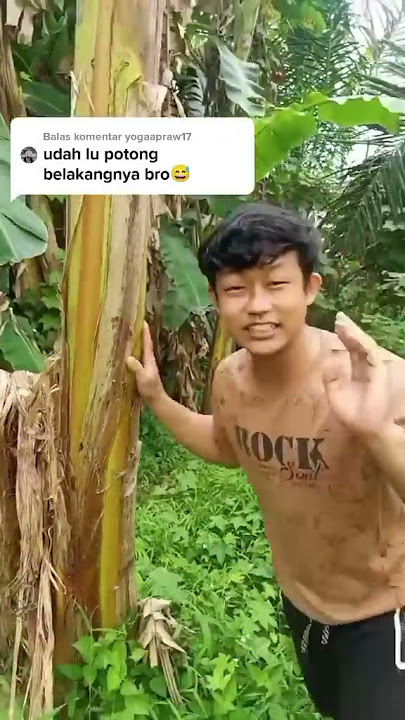 Rindu ulti pohon pisang bang😿