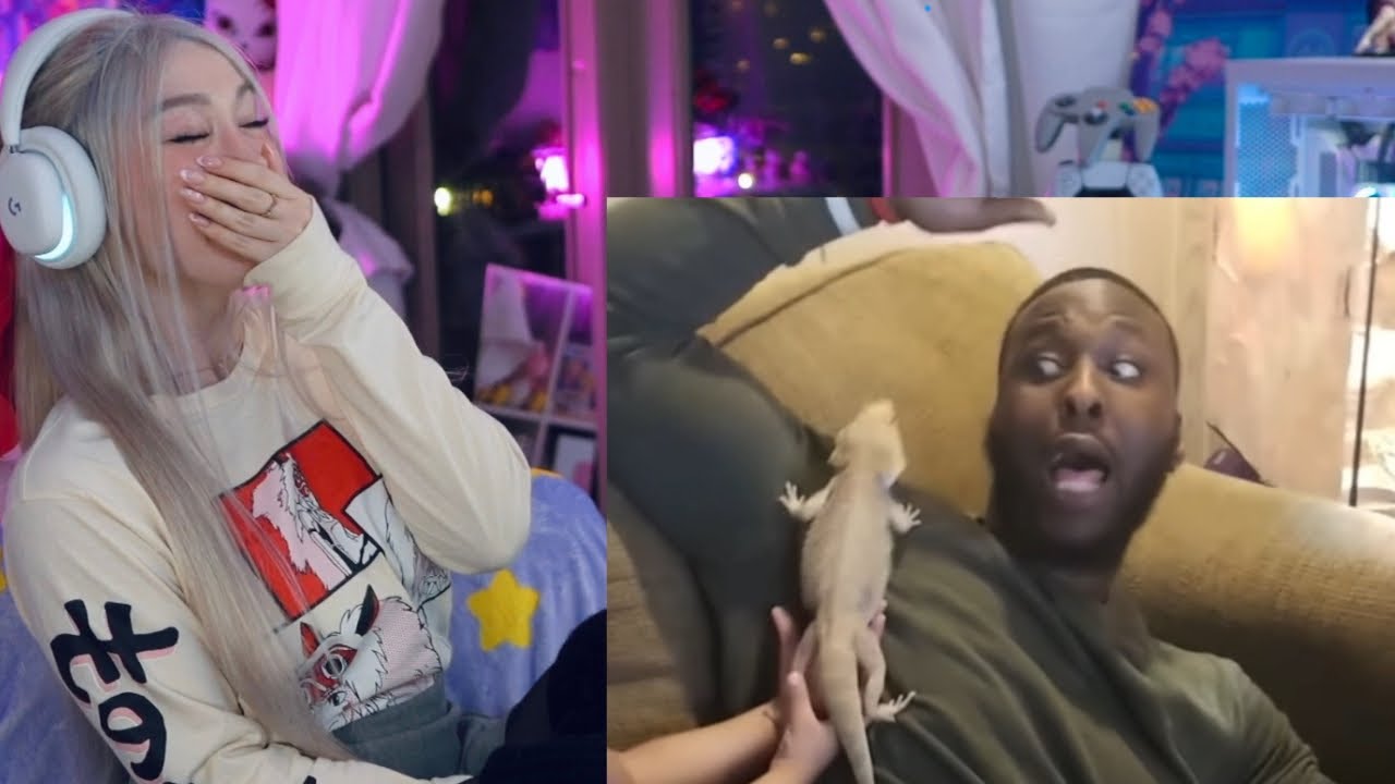 Самые смешные интернет-клипы РЕАКЦИЯ!!!