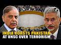 "Long-tainted record of genocidal acts...": Must Watch! India slams Pakistan at UNSC over terrorism