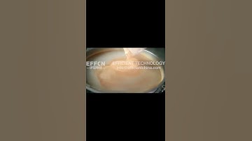 Deblinding System Vibratory Circular Screen screener