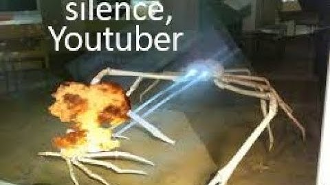 a wad intended for prboom+ but it only works on gzdoom