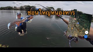 ตกปลาช่อนหนองหาร #ตกปลา #เหยื่อตกปลา #คันเบ็ด #fishing #หนองหาร #music #หมายธรรมชาติ #ปลาช่อน