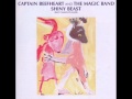 Capture de la vidéo Captain Beefheart - Tropical Hot Dog Night