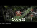 【あつ森茶番】ぴえん島