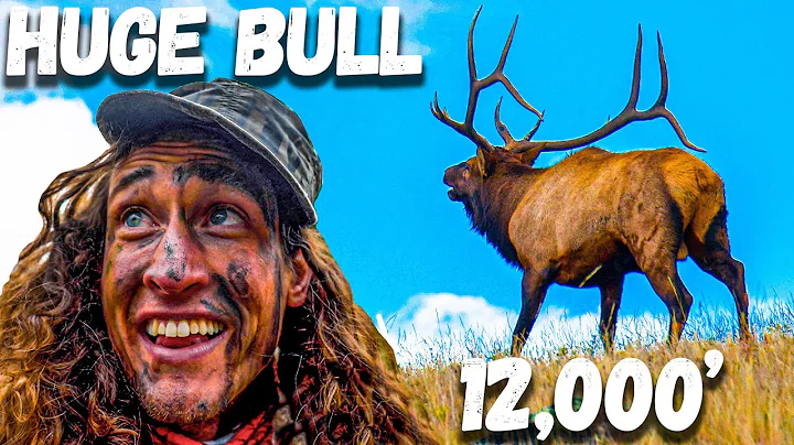 STALKING the BIGGEST BULL We've EVER SEEN in Colorado - Hunting Above Timberline!