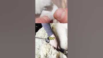 If you don