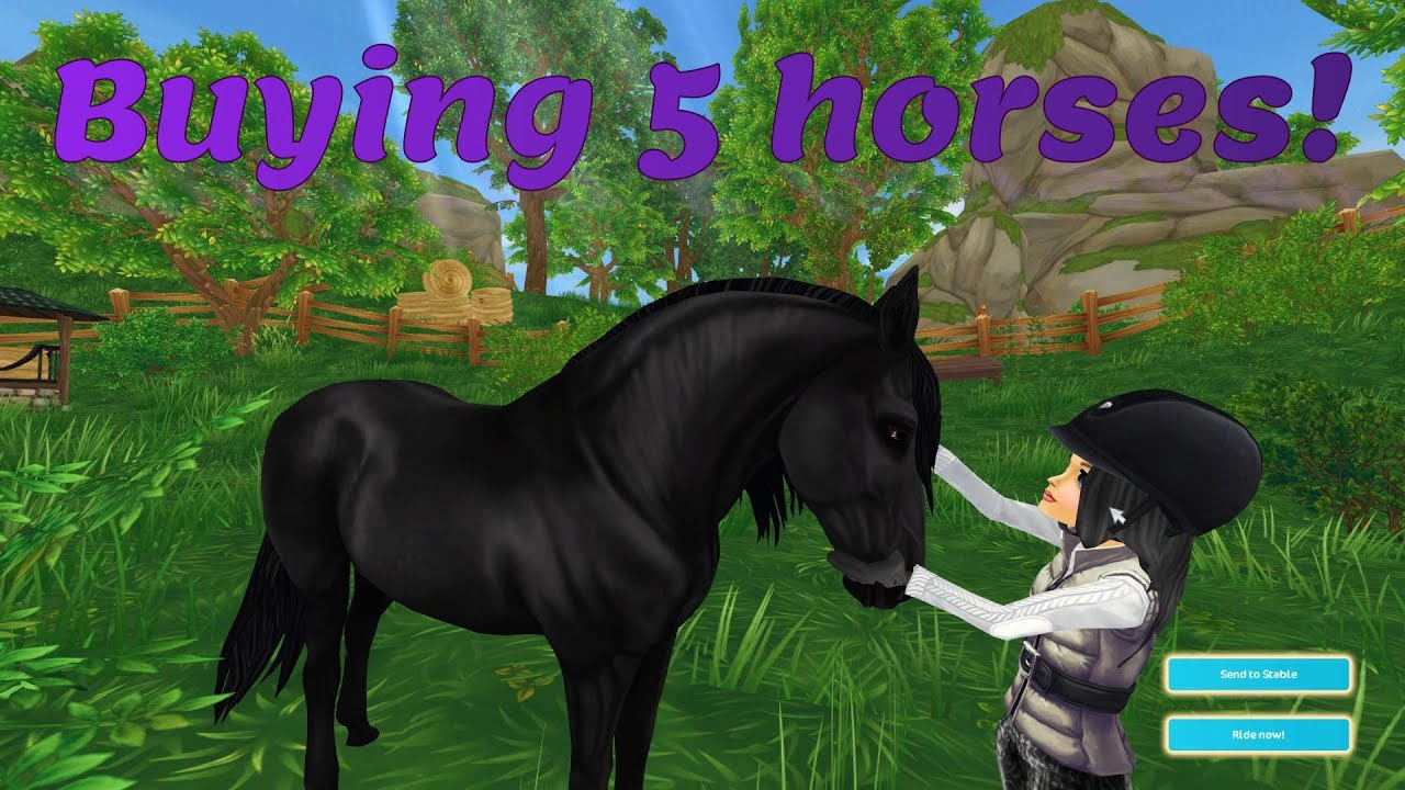 SSO Buying discount horses and more! YouTube