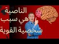 اكتشف كيف يصنع الدماغ شخصية لا تهتز