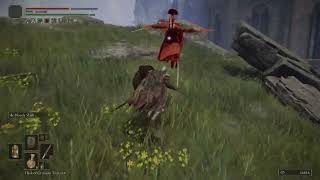 ELDEN RING PvP Fights At Level 90 On The PS5 @ps5stuffguy