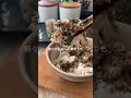 市販のふりかけの添加物ノイズを綺麗に引き算！子供がバクバク食べるお家大葉の最強リセット術。