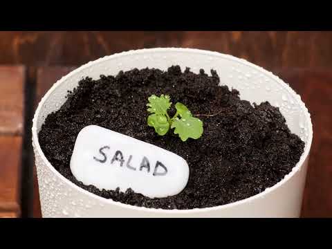 Tips for Gardeners – Essential Advice for Thriving Gardens