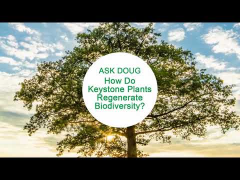 Vidéo: Quelles plantes sont dans la prairie de Blackland?