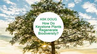 How Do Keystone Plants Regenerate Biodiversity?